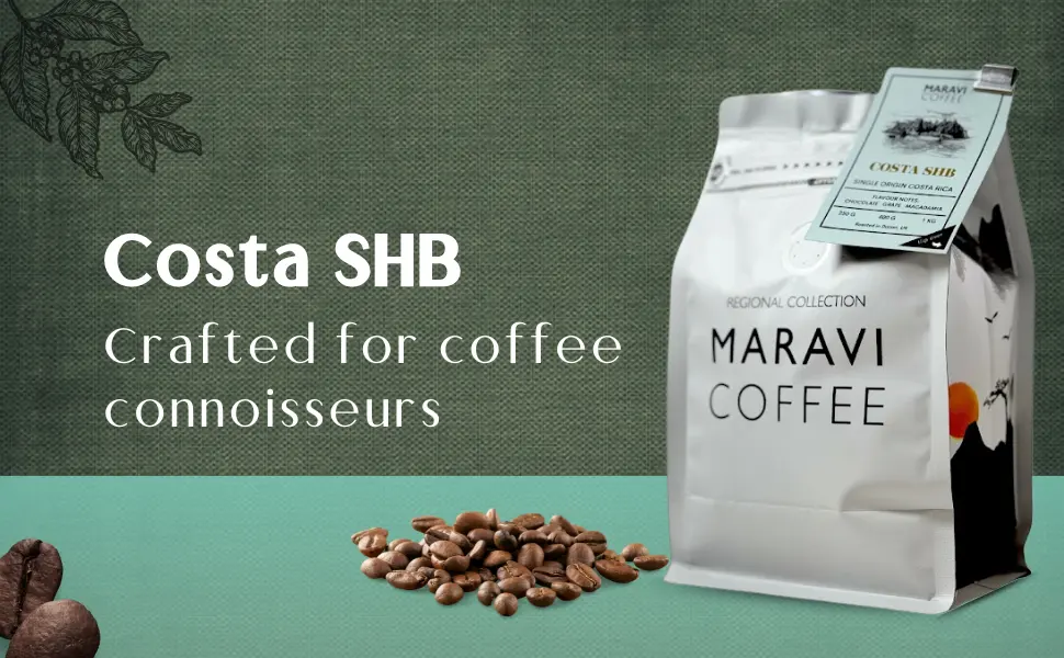 Maravi Speciality Coffee - Costa Rica SHB Arabica Coffee - Drip Grind Coffee - Medium Roast - Chocolate Grape & Macadamia Notes - 400g Drip Grind 400 g (Pack of 1) - finest coffee