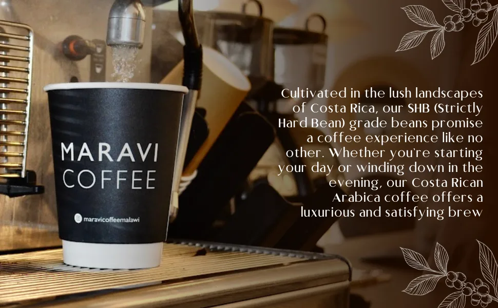 Maravi Speciality Coffee - Costa Rica SHB Arabica Coffee - Drip Grind Coffee - Medium Roast - Chocolate Grape & Macadamia Notes - 400g Drip Grind 400 g (Pack of 1) - Freshly Roasted