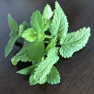 Teeccino Prebiotic Herbal Coffee Macadamia Nut Medium Roast Caffeine Free 10 oz (284 g) - Organic lemon balm is a mood lifting herb that helps with sleep, stress and anxiety