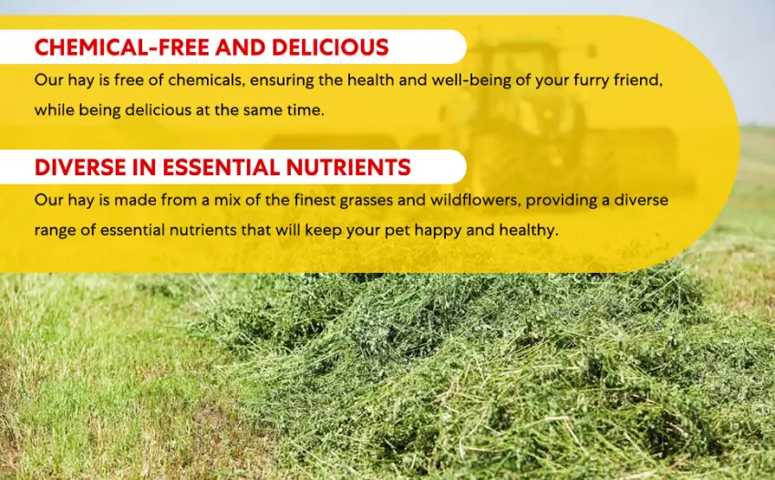 Shorefields Small Compact Meadow Hay Bagged 10kg - Chemical Free and Delicious