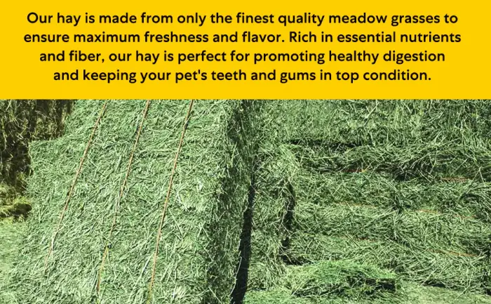 Shorefields Small Compact Meadow Hay Bagged 10kg - Max Freshness and Flovour
