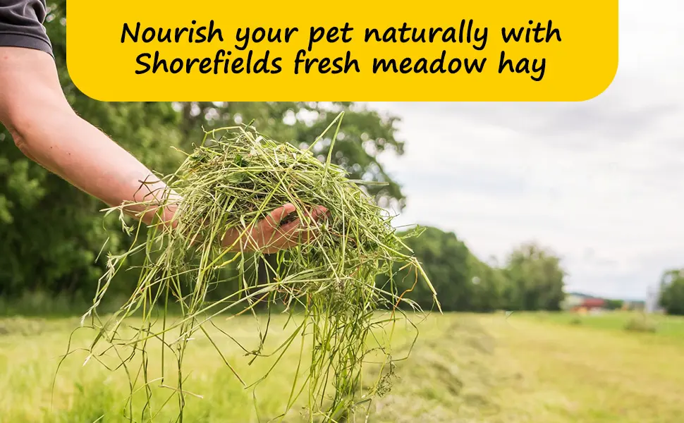 Shorefields Small Compact Meadow Hay Bagged 10kg - Nourish