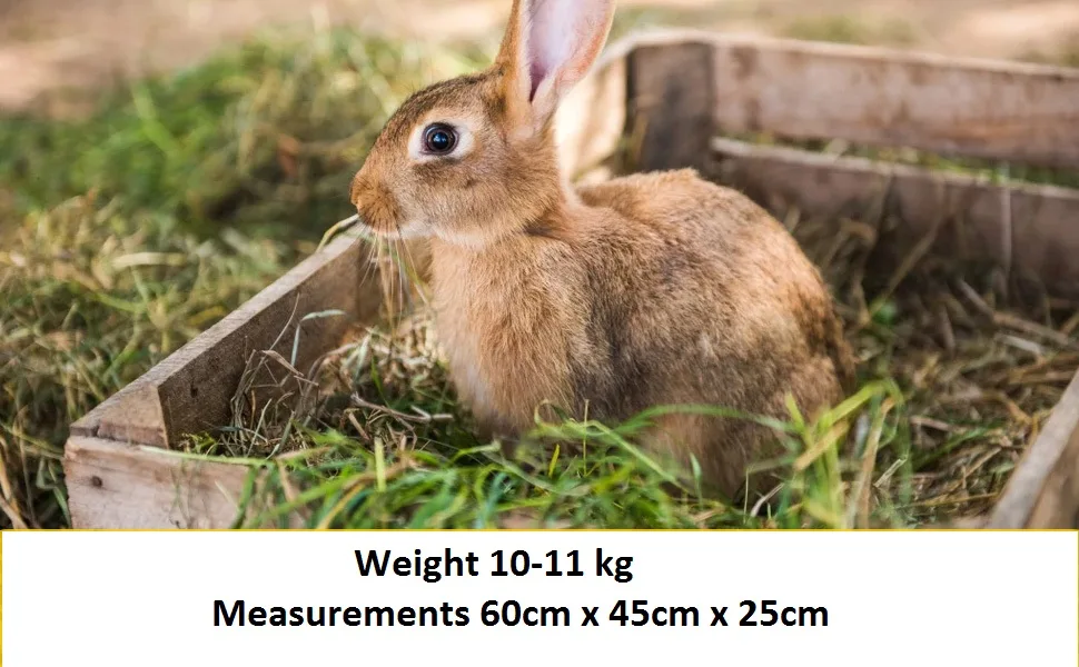 Shorefields Small Compact Meadow Hay Bagged 10kg - size