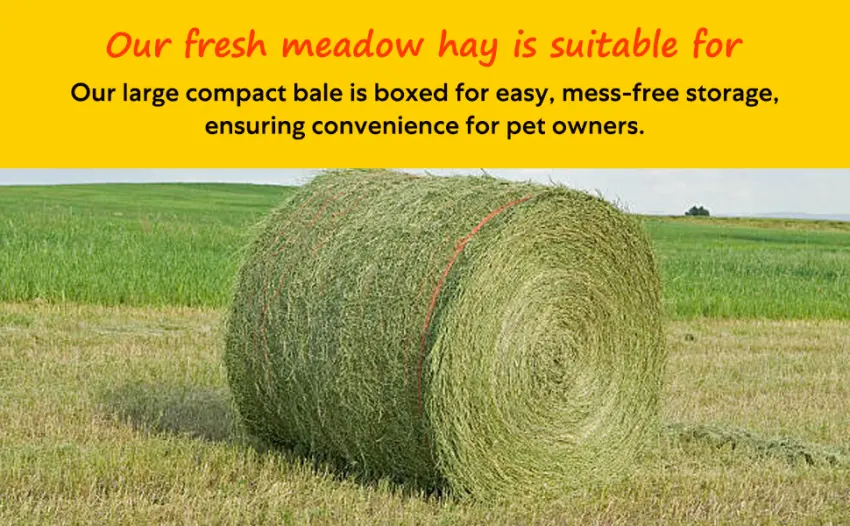 Shorefields Small Compact Meadow Hay Bagged 10kg - Suitable for Pet Owners