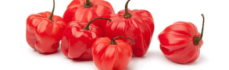 Fresh Bird Eye Chillies I 500G - FRESH SCOTCH BONNET PEPPER