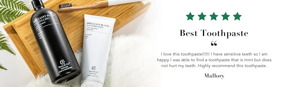 Terra & Co. Brilliant Black Toothpaste Mint 4 oz (113 g) - Best Toothpaste