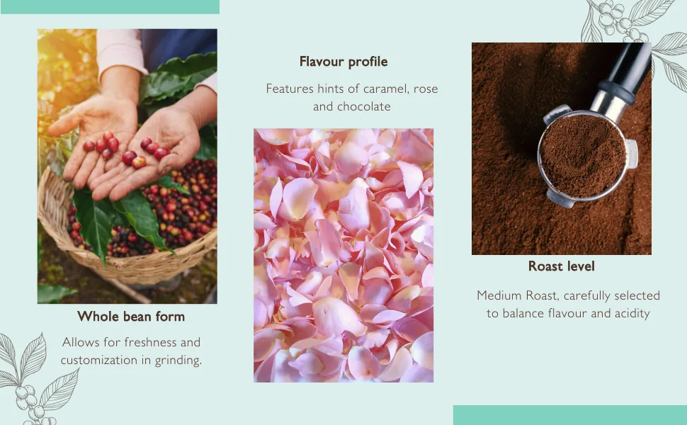 Maravi Speciality Coffee - Malawi Chitipa Geisha Coffee - Drip Grind Coffee - Medium Roast - Caramel Rose & Chocolate Notes - 1 kg Drip Grind 1 kg (Pack of 1) - Caramel, Rose, Chocolate