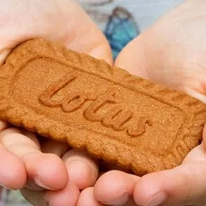 Biscoff Original Caramelised Biscuits from Lotus (Pack of 300 X 6) | Total 1800 individually wrapped biscuits. - Lotus