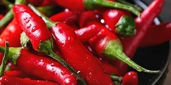 Reaper Peanuts - Hot as Hell Seasoned Peanuts 2 x 80g - Twin Pack - chilli, chilli powder, chilli flakes, chilli seeds, chilli pods
