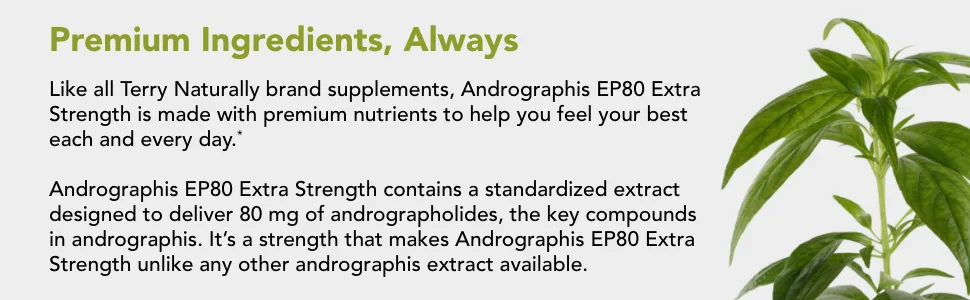 Terry Naturally Andrographis EP80 Extra Strength 60 Capsules - Terry Naturally