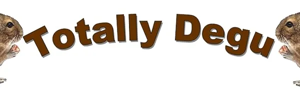 Totally Degu Corn Treats - Totally Degu - Fun stuff for small animals