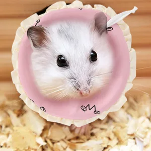 Small Pet Elizabeth Collar Protective Circle Nursing Ring Lightweight Elizabethan Collar for Guinea Pigs and Rabbits Pink - Small Pet Elizabeth Collar