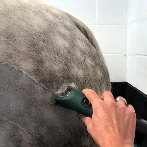 Cordless MD Roamer Cob Kit Horse Clipper/Trimmer with 10F and 7 Skip Blades - for Feathers and Hogging Manes - Wide blade