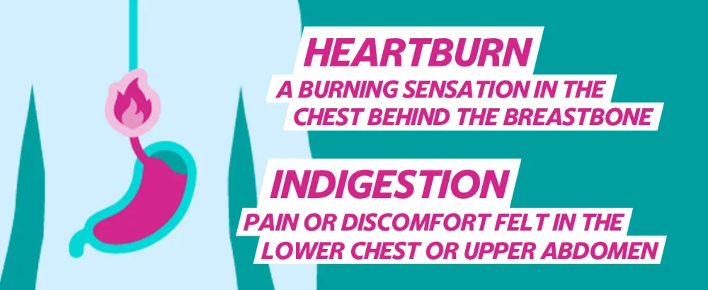 Gaviscon Double Action Heartburn & Indigestion Liquid Mint Flavour 150ml Pack of 4 - Gaviscon