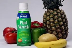 Trace Minerals Research Ionic Plant Minerals Natural Tangerine Flavor 17 fl oz (503 ml) - product information 3