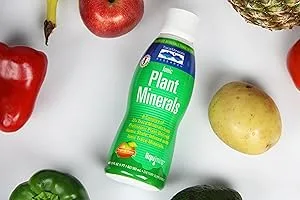 Trace Minerals Research Ionic Plant Minerals Natural Tangerine Flavor 17 fl oz (503 ml) - product information 4