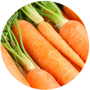 Trilogy Cream Cleanser 3.3 fl oz (100 ml) - Carrot Oil