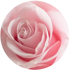 Trilogy Hydrating Mist Toner 3.3 fl oz (100 ml) - Rose Oil