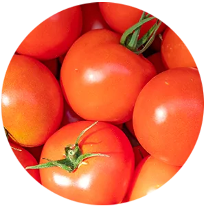 Trilogy Rosehip Oil Antioxidant + 1.01 fl oz (30 ml) - Lycopene