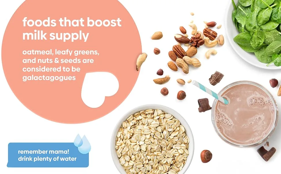 UpSpring MilkFlow Fenugreek & Blessed Thistle Supplement Drink Chocolate 16 Packets (15 g) Each - foods that boost milk supply