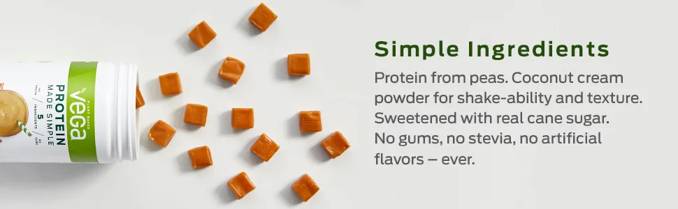 Vega Protein Made Simple Dark Chocolate 9.6 oz (271 g) - plant based dairy free delicious healthy protein powder for smoothie
