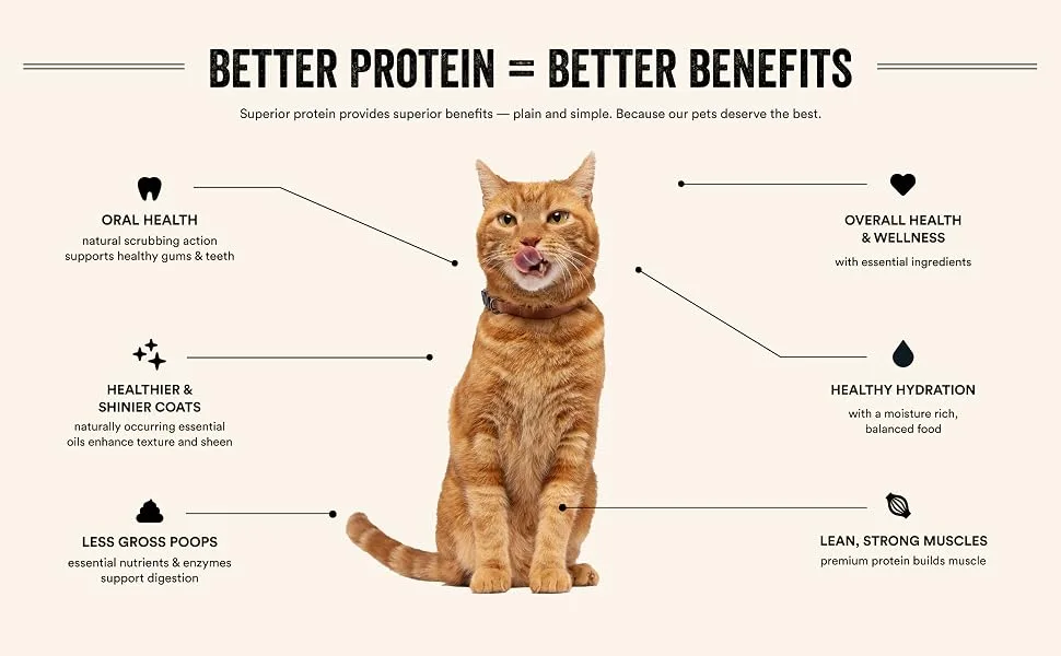 Vital Essentials Vital Cat Freeze-Dried Mini Nibs For Cats Chicken Entree 12 oz (340 g) - Better protein, better benefits. Freeze dried cat treats and freeze dried cat food.