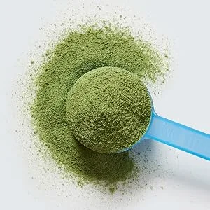 Vital Proteins Matcha Collagen Latte Vanilla 9.3 oz (265 g) - product information 4