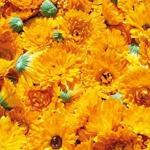 Weleda Baby Bundle Set Calendula 2 Piece Set - Weleda