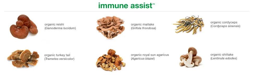 Youtheory Immune+ Daily Wellness 60 Vegetarian Capsules - Immune Assist
