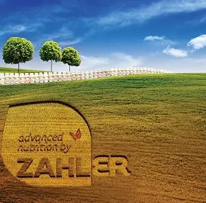 Zahler Methyl Folate 60 Capsules - product information 6
