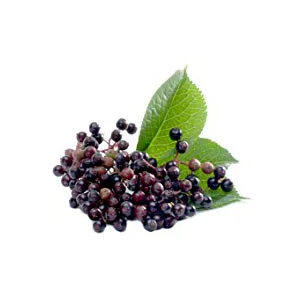 Zarbee's Black Elderberry Immune Support 8 fl oz (236 ml) - zarbees, elderberry, immune support, real elderberry, vitamin c, zinc, elderberry gummies, gummies