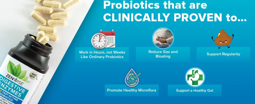 Zenwise Health Digestive Enzymes with Prebiotics + Probiotics 60 Capsules - benefits