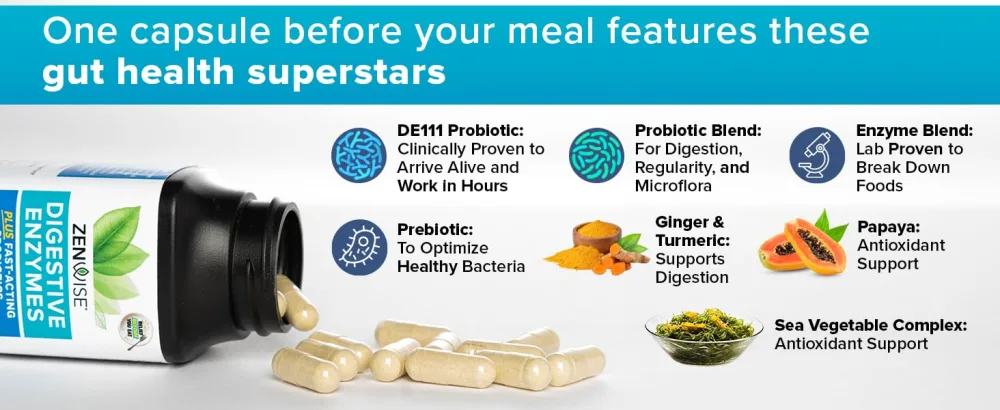 Zenwise Health Digestive Enzymes with Prebiotics + Probiotics 60 Capsules - ingredients