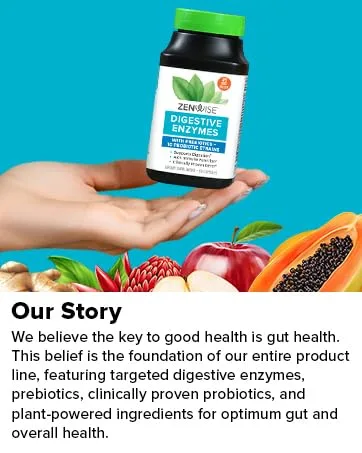 Zenwise Health Digestive Enzymes with Prebiotics + Probiotics 60 Capsules - Out story
