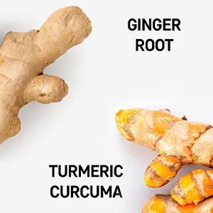 Nature's Base Turmeric and Ginger with Apple Cider Vinegar - 60 Capsules - Antioxidants ginger root and turmeric curcuma