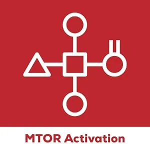 Redcon1 - 11 Bravo (30 Servings) ,Phosphatidic Acid ,Protein Synthesis, Muscle Builder, mTOR Inhibitor, - MTOR
