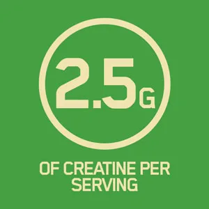Optimum Nutrition Creatine Capsules - creatine