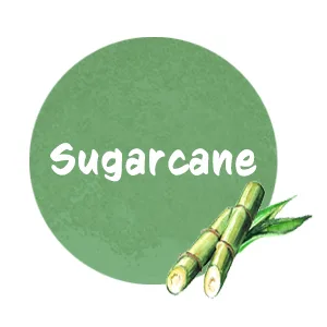 Huangjisoo Sugar No rinse Cleansing Pads - 60 Pads - product information 4