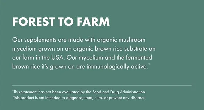 Host Defense Maitake Extract Mushroom Supplement Plain 1 fl oz 1 Fl Oz (Pack of 1) - product information 2