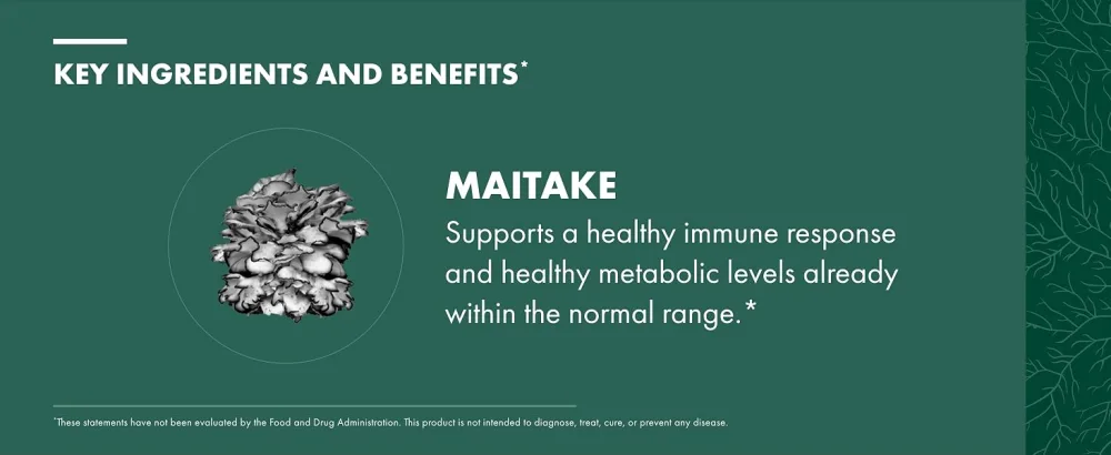 Host Defense Maitake Extract - Immune & Cellular Health Support - Herbal Supplement with Maitake Mushroom & Mushroom Mycelium - Liquid Supplement - 2 fl oz (60 Servings)* 2 Fl Oz (Pack of 1) - product information 24