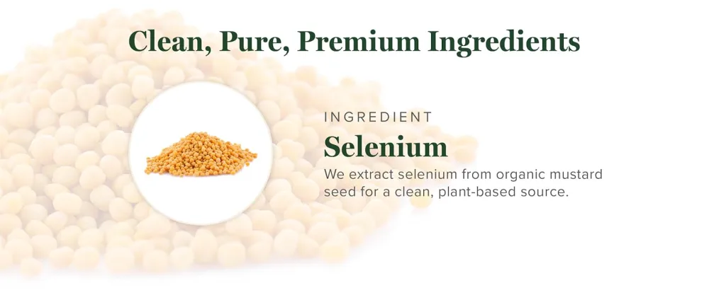 Global Healing Selenium 200mcg, Selenium Supplement with Organic Ingredients, Antioxidants for Thyroid Support and Immune Health, Non-GMO & Gluten-Free, Selenium 200 mcg for Men & Women (60 Capsules) - selenomethione selenium tablets now selerium liquid selenium selinium mthionine