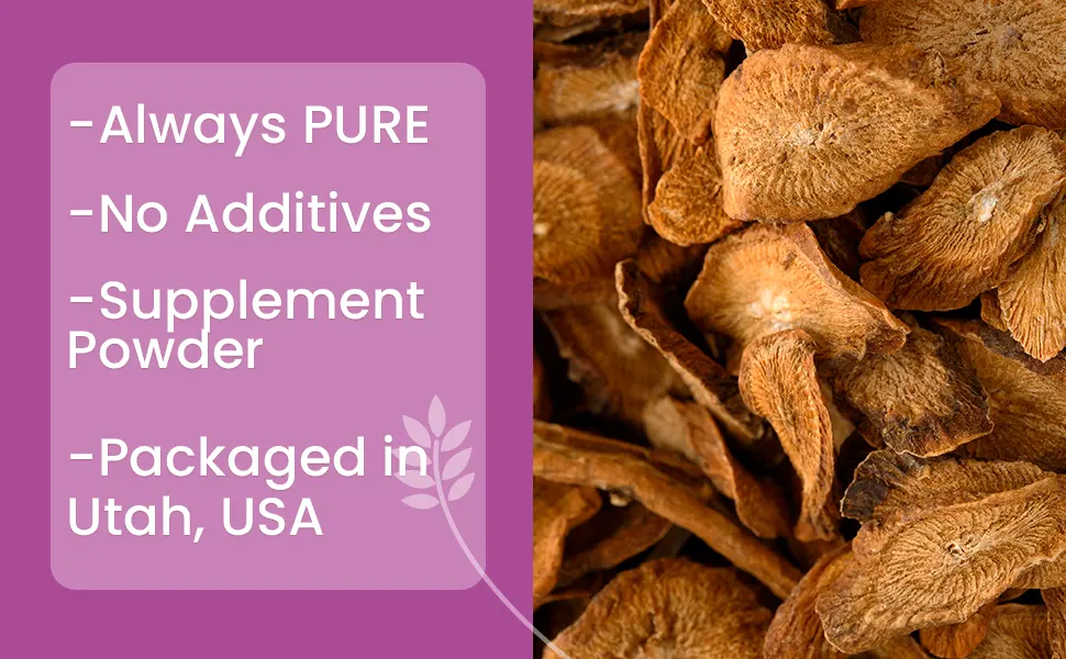 PURE ORIGINAL INGREDIENTS Burdock Root - 16 Oz. - product information 2