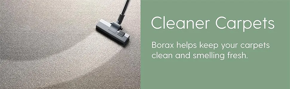 Milliard Borax Powder Detergent Booster - 10 lb - Cleaner Carpets