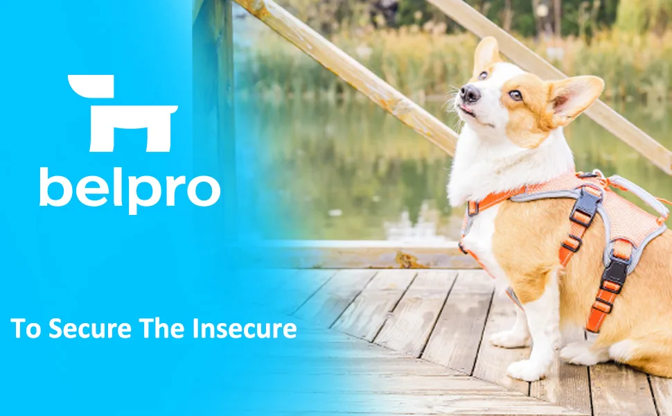 BELPRO Multi-Use Support Dog Harness Escape Proof No Pull Reflective Adjustable Vest with Durable Handle Dog Walking Harness for Big/Active Dogs (Orange M) M (Pack of 1) Orange - BELPRO Multi-Use Support Dog Harness, Escape Proof No Pull Reflective Adjustable Vest