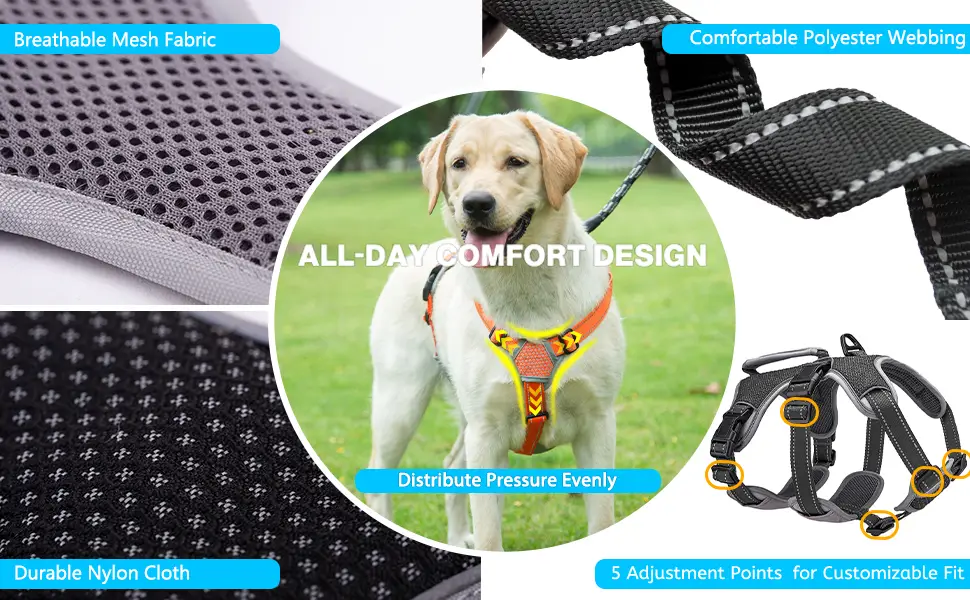 BELPRO Multi-Use Support Dog Harness Escape Proof No Pull Reflective Adjustable Vest with Durable Handle Dog Walking Harness for Big/Active Dogs (Orange M) M (Pack of 1) Orange - BELPRO Multi-Use Support Dog Harness, Escape Proof No Pull Reflective Adjustable Vest