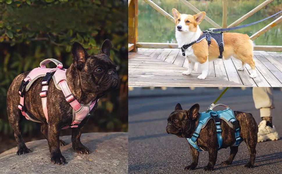 BELPRO Multi-Use Support Dog Harness Escape Proof No Pull Reflective Adjustable Vest with Durable Handle Dog Walking Harness for Big/Active Dogs (Orange M) M (Pack of 1) Orange - escape proof dog harness