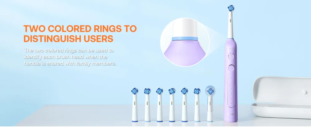 Bitvae R2 Rotating Electric Toothbrush for Adults with 8 Brush Heads 5 Modes Rechargeable Power Toothbrush with Pressure Sensor Purple Purple 1 Pack - bitvae