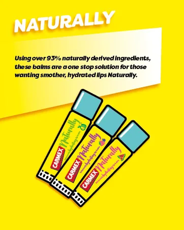 Carmex Vanilla Lime & Pomegranate Stick 3-Pieces Mixed Pack 3 Piece Set - CARMEX Naturally Lip Balms