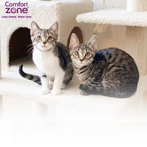 Comfort Zone Cat Calming Pheromone Collar Helps Cats Feel Safe Happy Calm While Reducing Stress Anxiety and Unwanted Behaviours 1 Collar Pack White - comfort zone calming pheromone cat collar stress relief