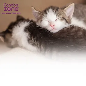 Comfort Zone Cat Calming Pheromone Collar Helps Cats Feel Safe Happy Calm While Reducing Stress Anxiety and Unwanted Behaviours 1 Collar Pack White - comfort zone calming pheromone cat collar stress relief